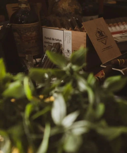 tobacco bar corporate